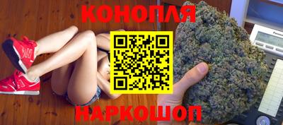 шишки Балашиха