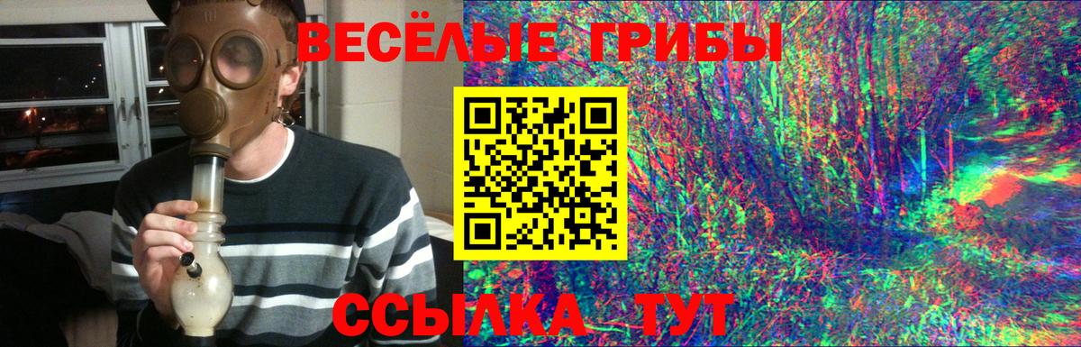 Псилоцибиновые грибы ЛСД  Вход с VPN  Псилоцибиновые грибы GOLDEN TEACHER  Губкинский 
