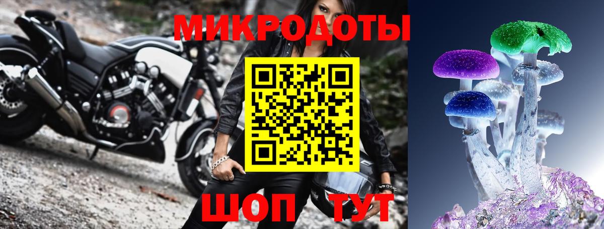 Псилоцибиновые грибы ЛСД Губкинский